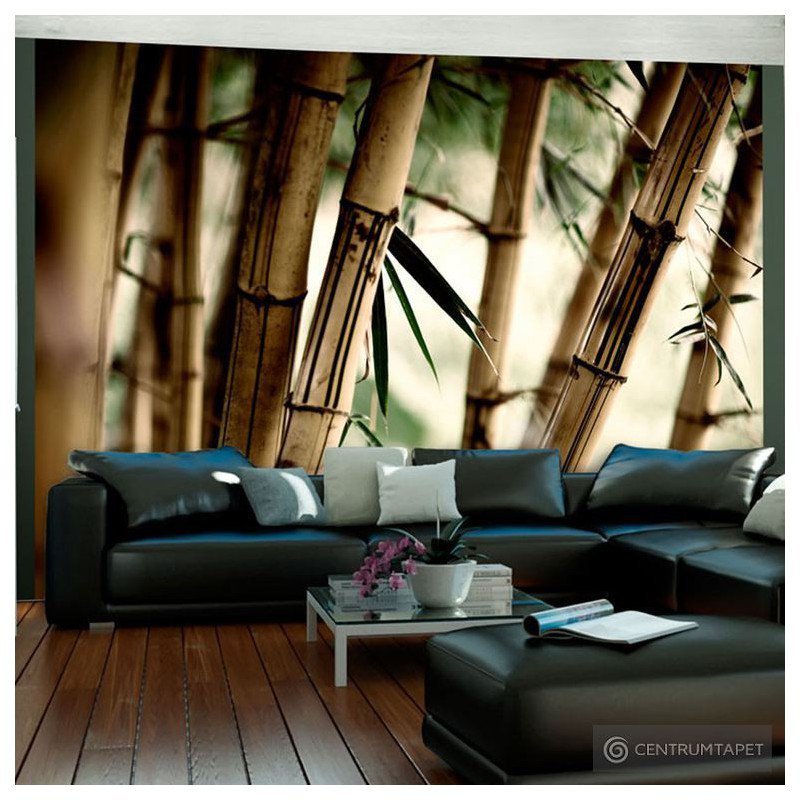 Fototapeta Fog and bamboo forest 100403-35