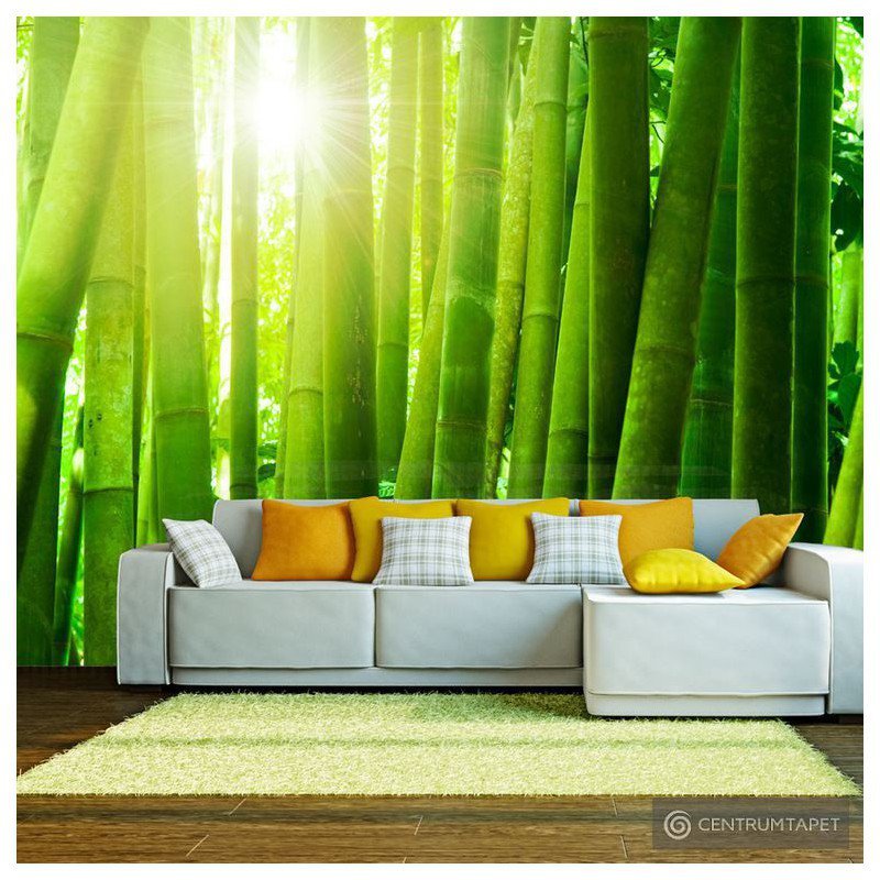 Fototapeta Słońce i bambus 100403-89