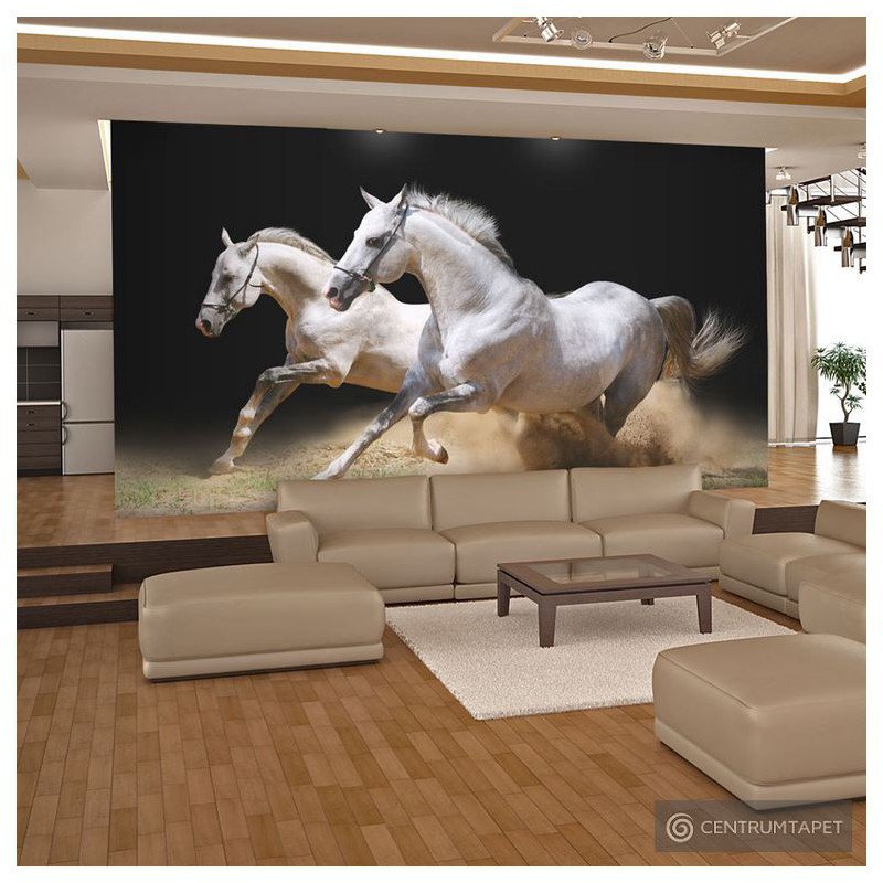 Fototapeta Galop na piasku 100403-93
