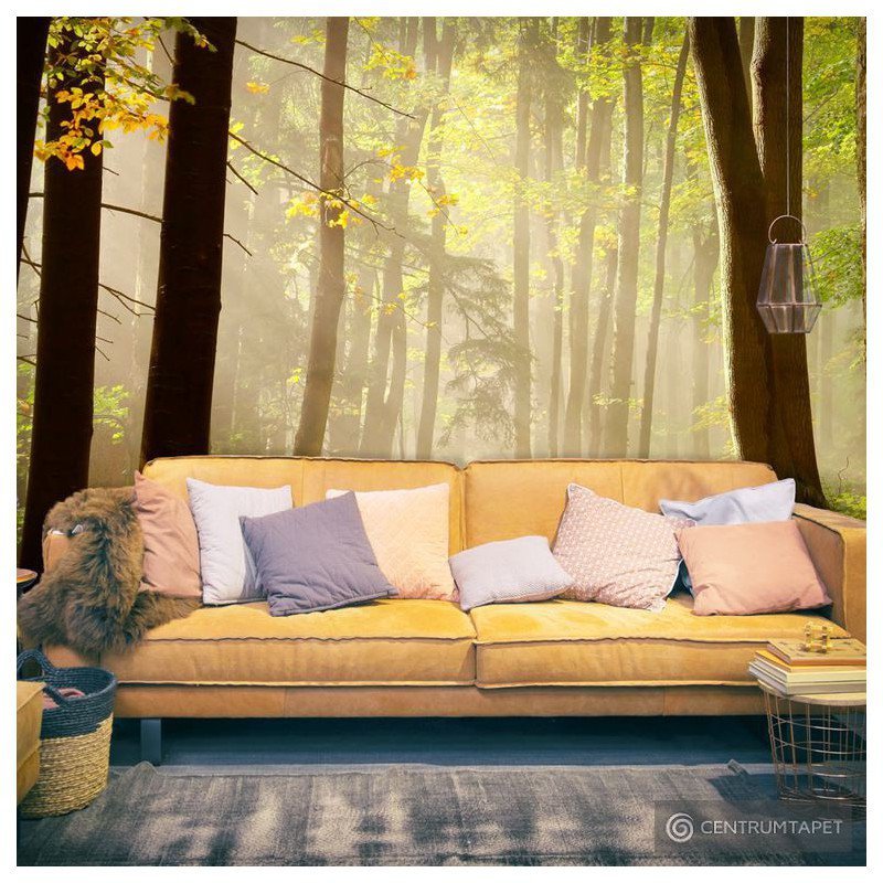 Fototapeta Mysterious forest path 100403-98