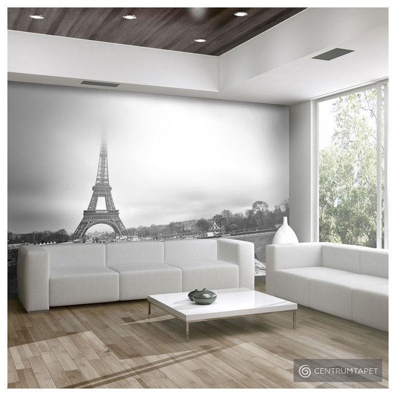 Fototapeta Paryż: Wieża Eiffla 100404-101