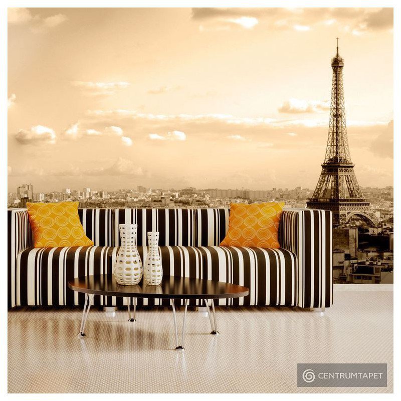 Fototapeta Paryż - panorama 100404-110
