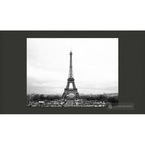 Fototapeta Paryż:...