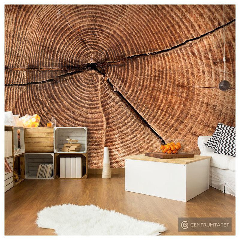 Fototapeta Przekrój pnia drzewa 100405-33