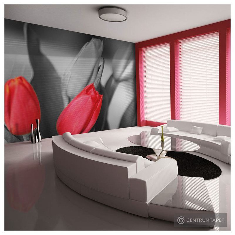 Fototapeta Czerwone tulipany na czarno-białym tle 100406-105