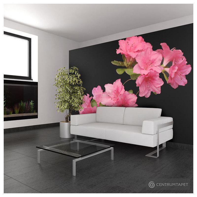 Fototapeta Azalea in Black 100406-124