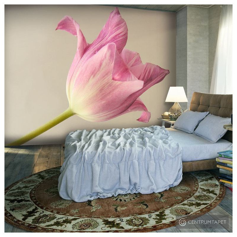 Fototapeta Pink tulip 100406-131