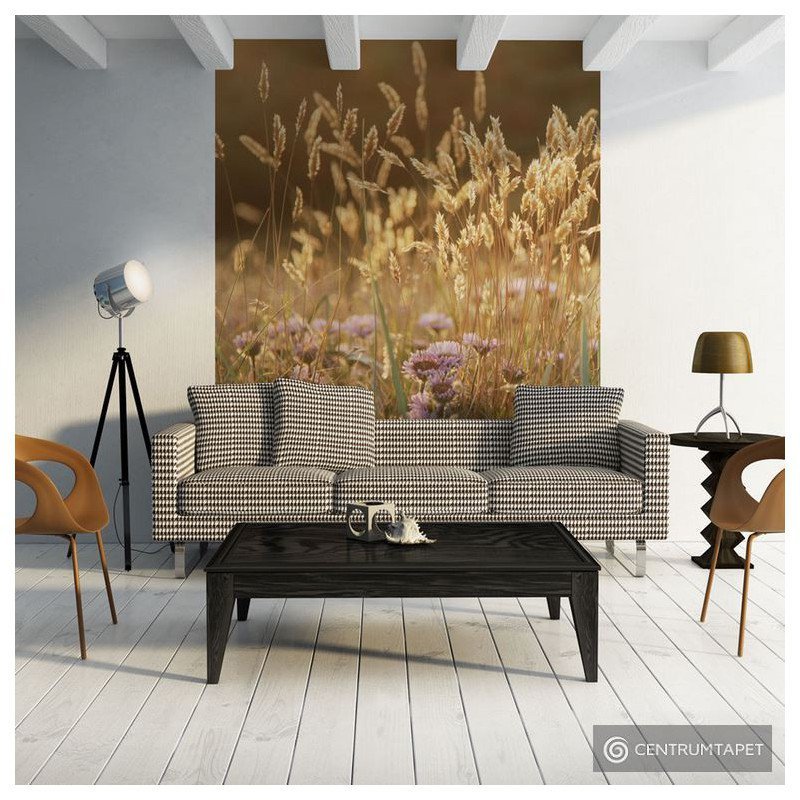 Fototapeta Awakening ceral field 100406-135