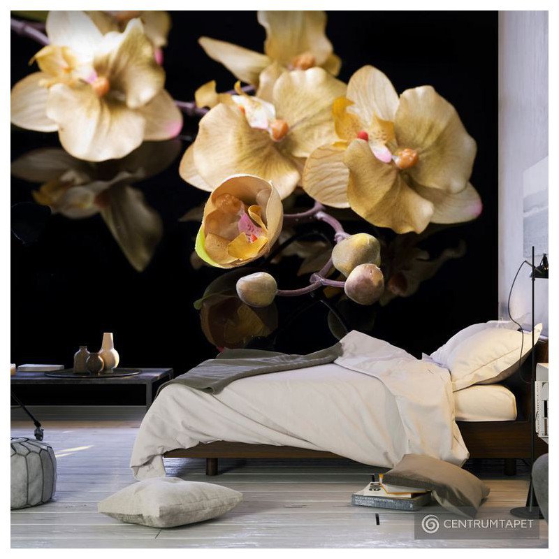 Fototapeta Orchids in ecru color 100406-143