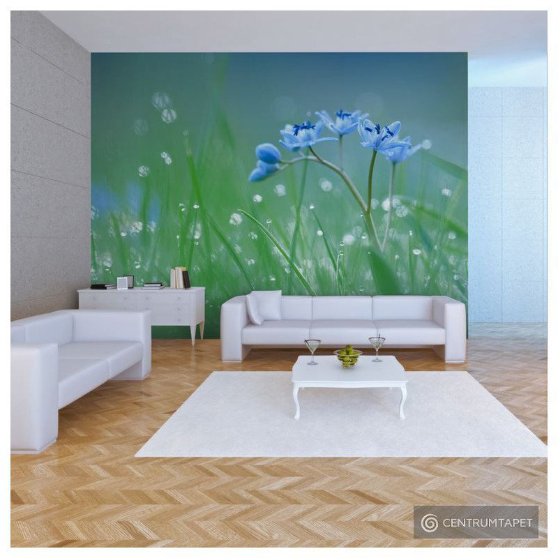 Fototapeta Łąka - w blasku porannego słońca 100406-23