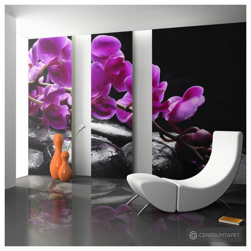 Fototapeta Chwila relaksu: orchidea i kamienie zen 100406-24