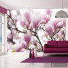 Fototapeta Gałązka kwitnącej magnolii 100406-26