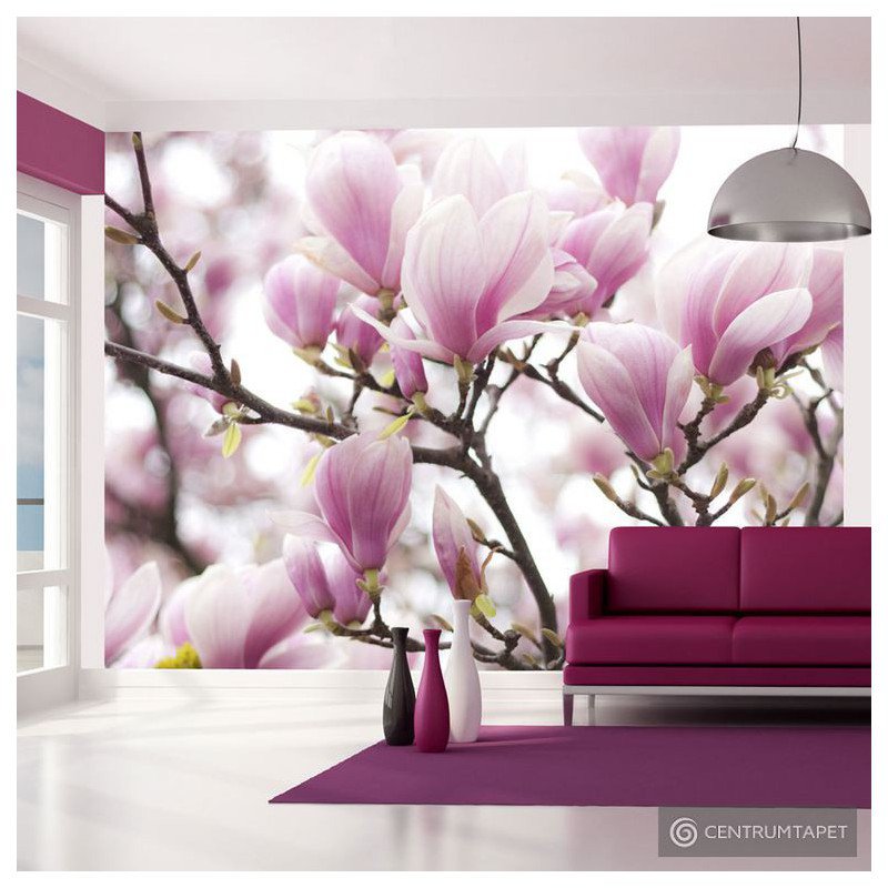 Fototapeta Gałązka kwitnącej magnolii 100406-26