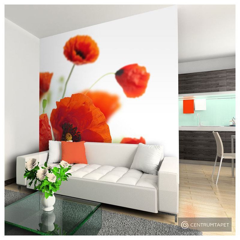 Fototapeta Poppies on the wihite background 100406-64
