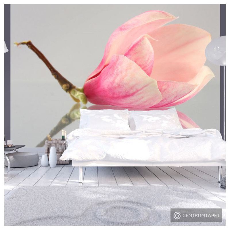 Fototapeta Samotny kwiat magnolii 100406-69
