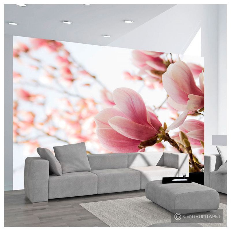 Fototapeta Różowa magnolia 100406-91