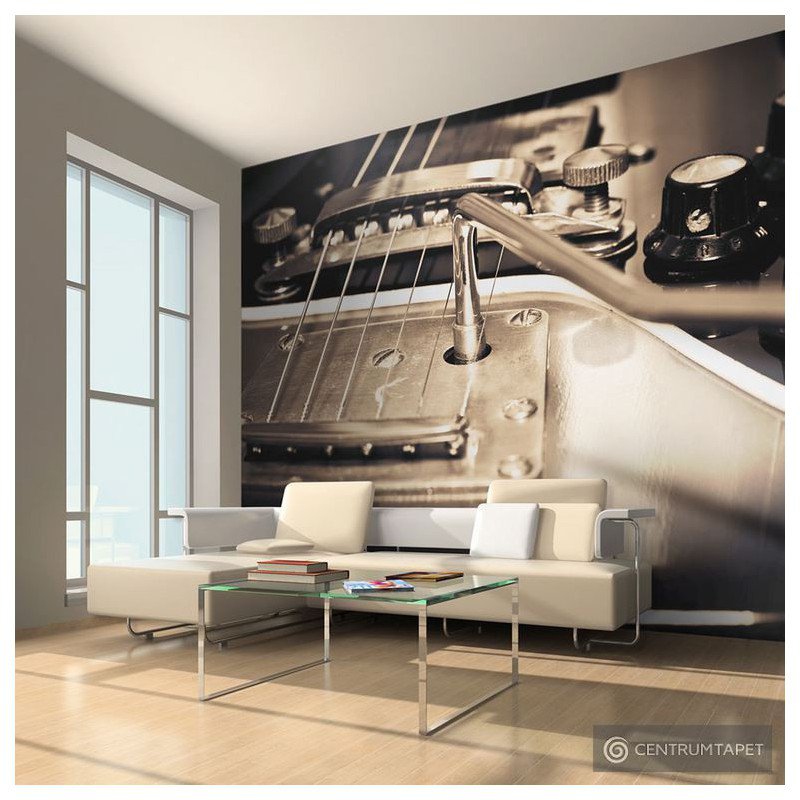 Fototapeta Gitara 100407-46