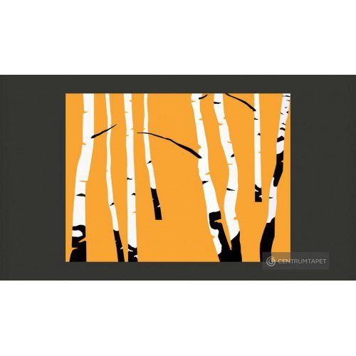 Fototapeta Birches on the...