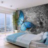 Fototapeta Blue butterfly 10040903-73