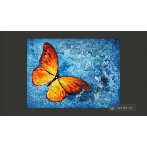 Fototapeta Fiery butterfly...