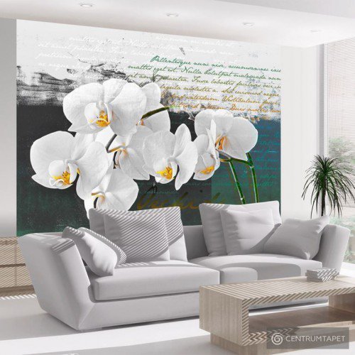 Fototapeta Orchidea - inspiracja poety 10040906-17