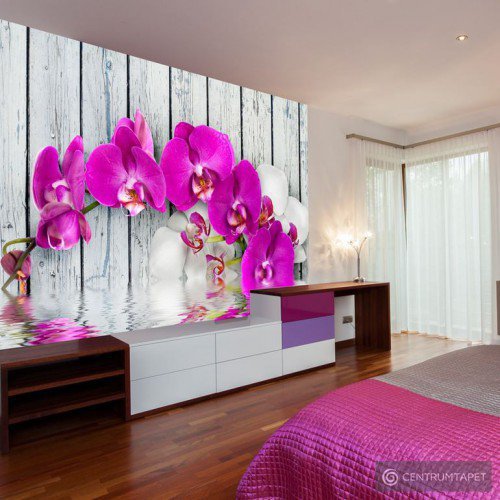 Fototapeta Violet orchids with water reflexion 10040906-23