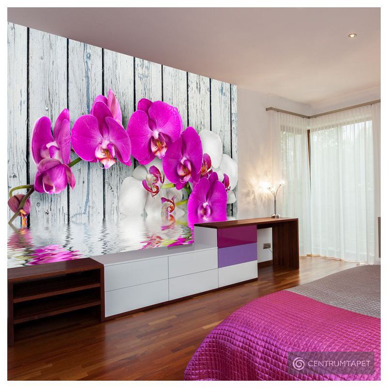 Fototapeta Violet orchids with water reflexion 10040906-23