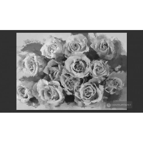 Fototapeta A dozen roses...