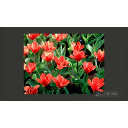 Fototapeta Painted flowers...