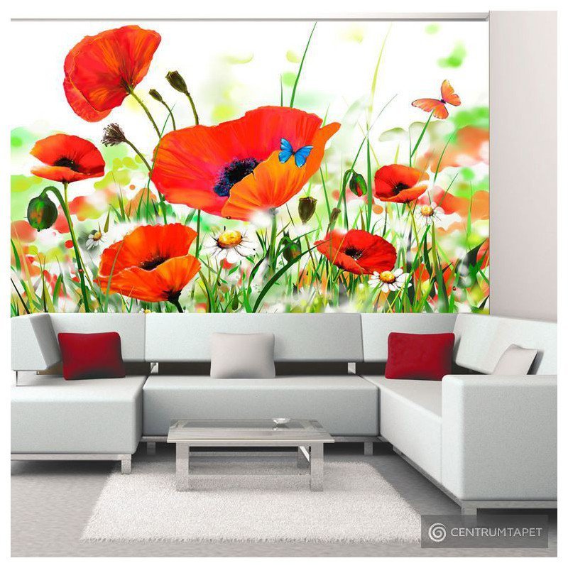 Fototapeta Country poppies 10040906-58