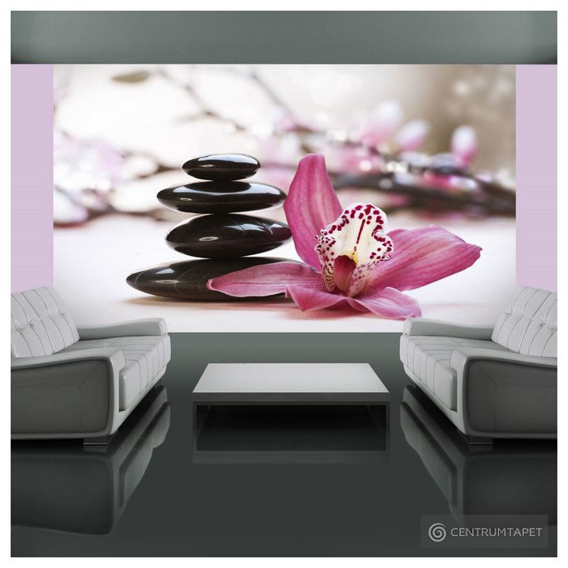Fototapeta Relaxation and Wellness 100606-12