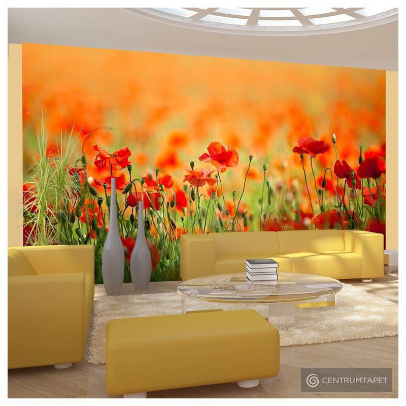 Fototapeta Maki w słoneczny letni dzień 100606-9