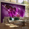 Fototapeta Baśń i orchidea 10060906-6