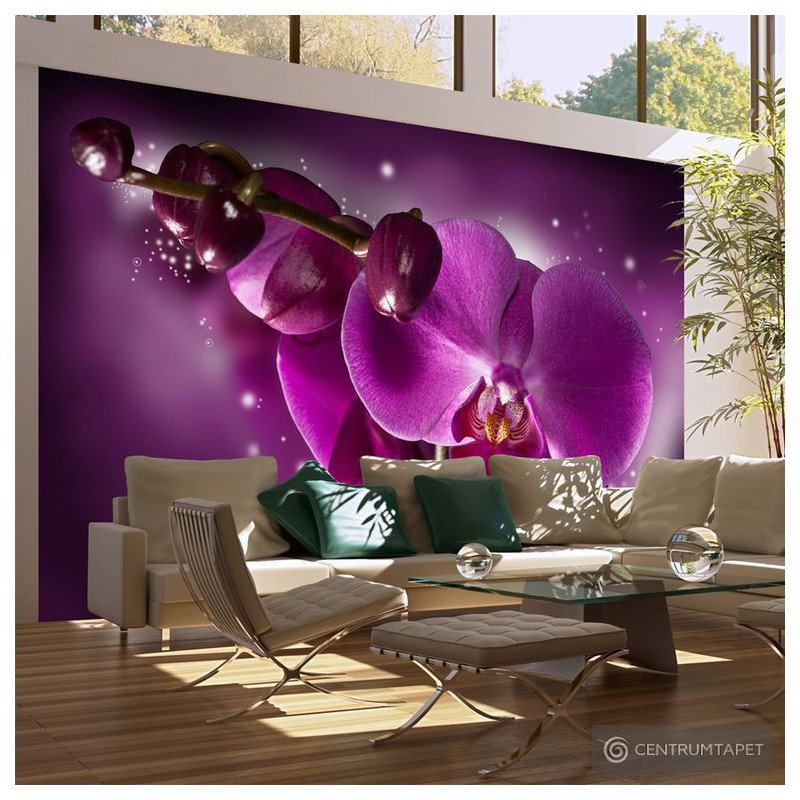 Fototapeta Baśń i orchidea 10060906-6