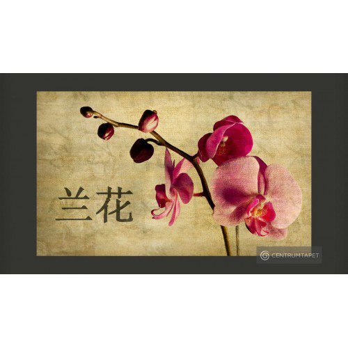 Fototapeta Japanese orchid...