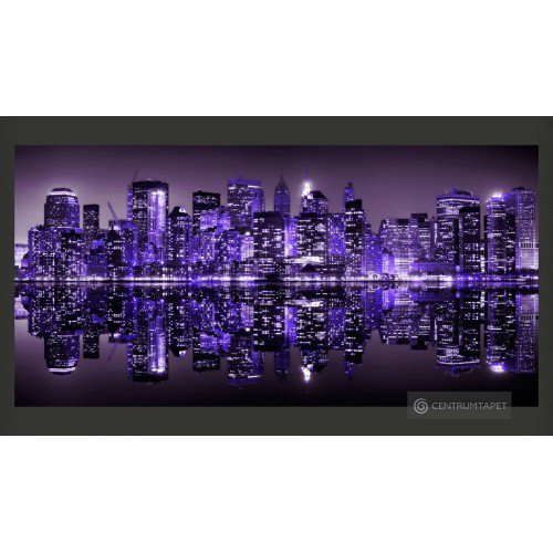 Fototapeta American violet...