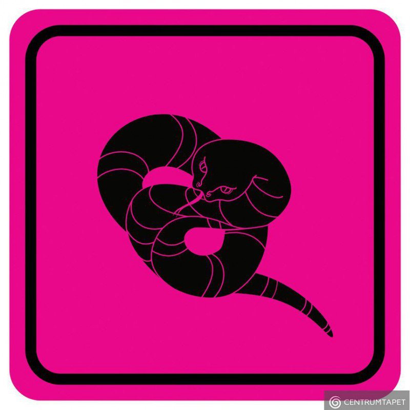 Naklejka ścienna SPN95WS Pink Snake