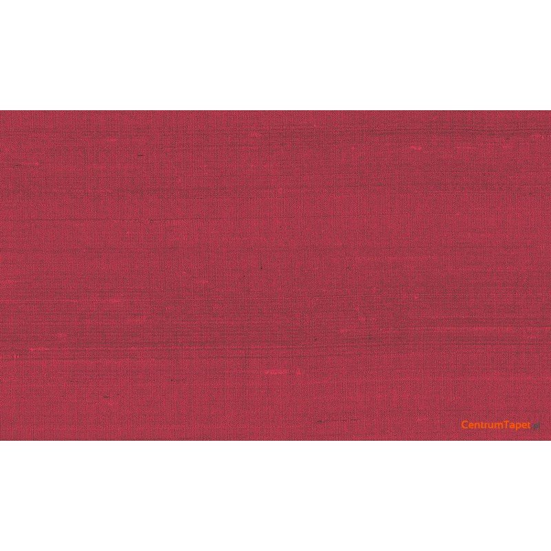 Tapeta 50502 Paleo