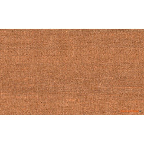 Tapeta 50514 Paleo
