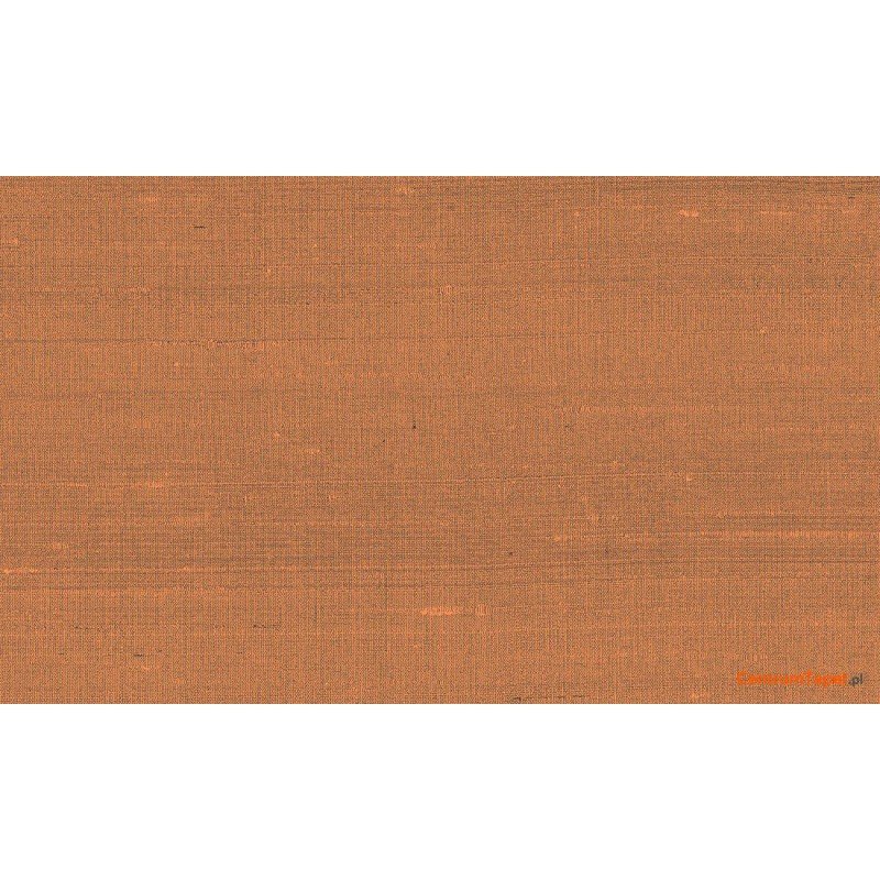 Tapeta 50514 Paleo