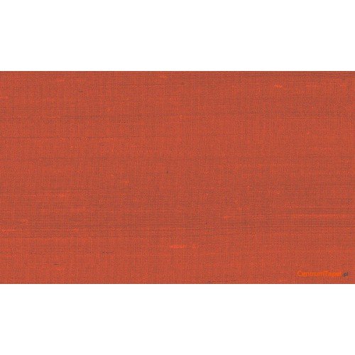 Tapeta 50517 Paleo