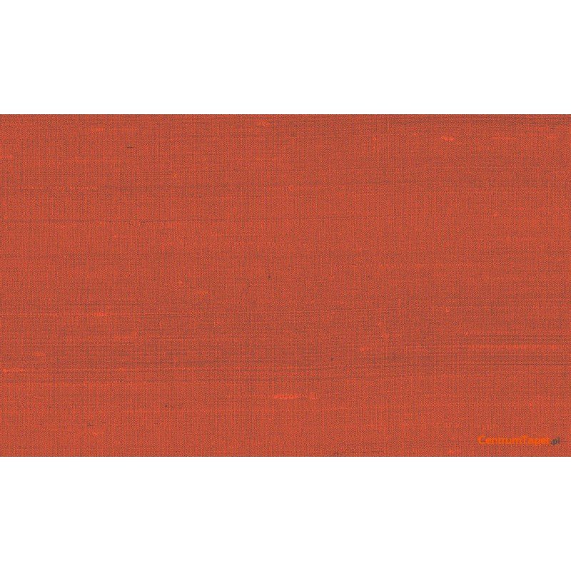 Tapeta 50517 Paleo