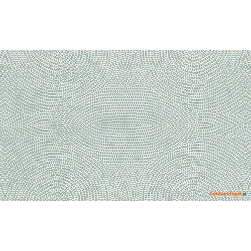 Tapeta 50570 Paleo