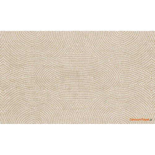 Tapeta 50571 Paleo