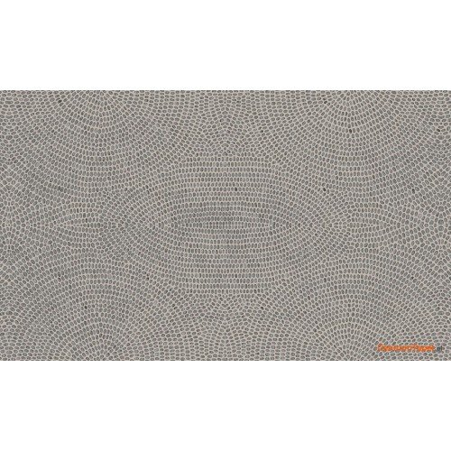 Tapeta 50572 Paleo