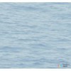 Tapeta BL71312 Navy