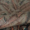 Tapeta 347441 Wunderkammer Origin