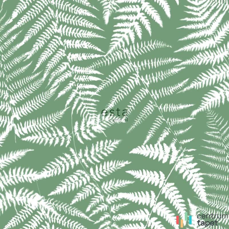 Tapeta 138999 Jungle Fever Esta Home