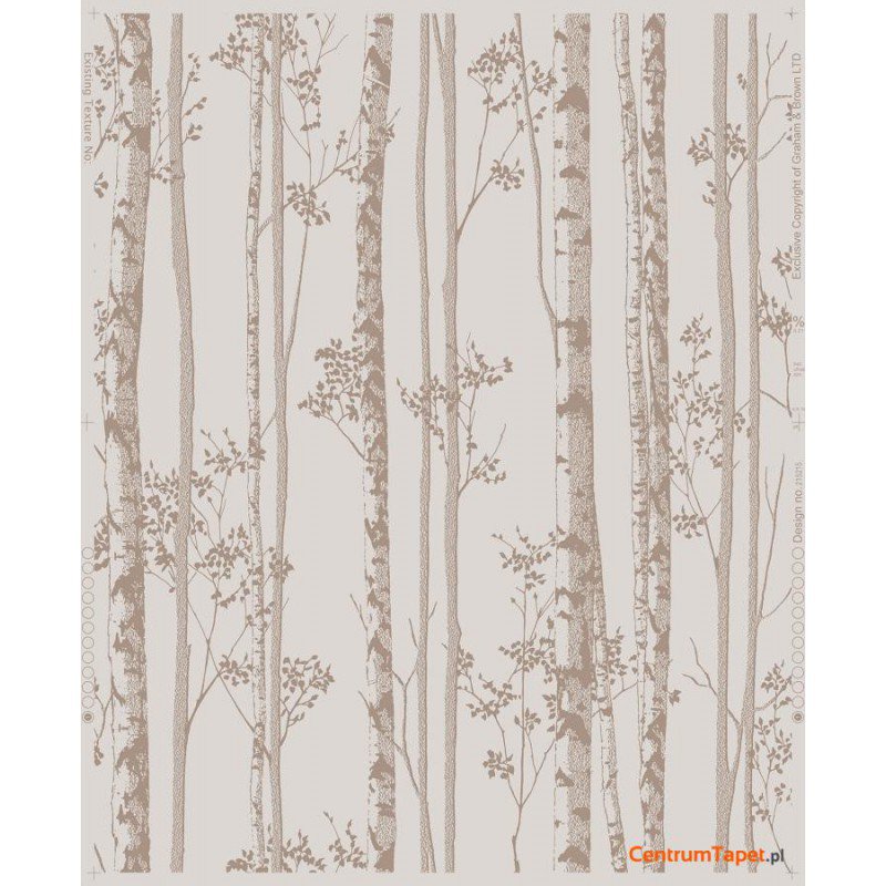 Tapeta 100523 Pure Graham&Brown