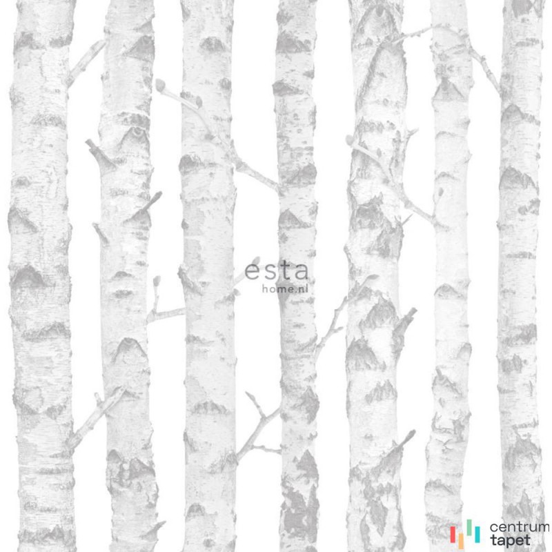 Tapeta 138944 Little Bandits Esta Home